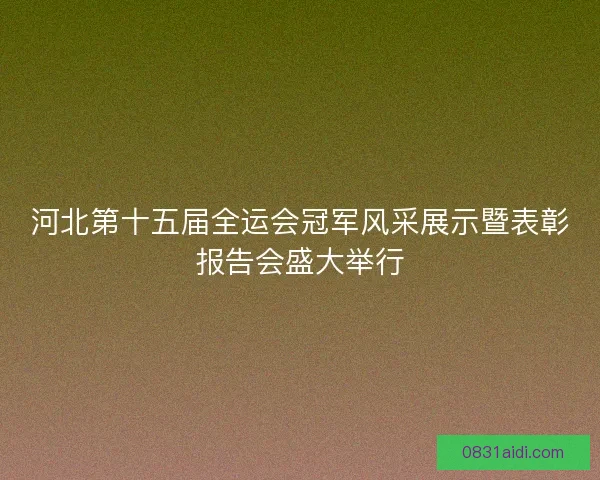 河北第十五届全运会冠军风采展示暨表彰报告会盛大举行