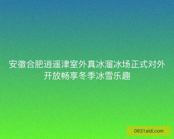 安徽合肥逍遥津室外真冰溜冰场正式对外开放畅享冬季冰雪乐趣