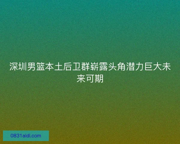 深圳男篮本土后卫群崭露头角潜力巨大未来可期