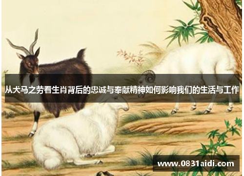 从犬马之劳看生肖背后的忠诚与奉献精神如何影响我们的生活与工作